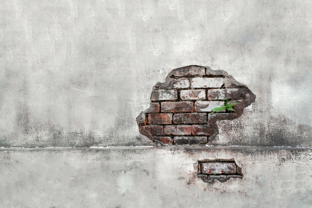 Top 5 emotional intelligence skills needed for a successful career in 2025: how to develop them in practice.