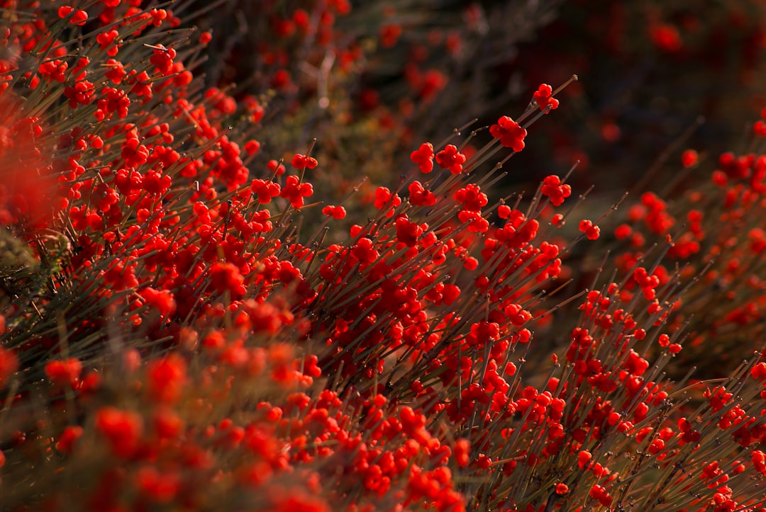 Flexible Working Hours: How It Can Increase Productivity and Employee Satisfaction