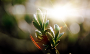 How to effectively use social networks to develop professional relationships