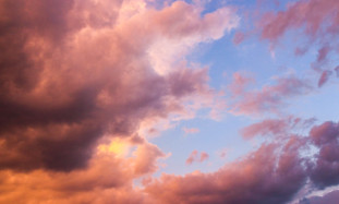 5 steps to creating a unique personal brand: how to stand out from the crowd