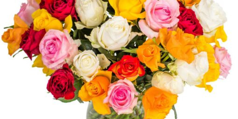 Service files Ziedu kompozīcijas un individuāli pušķi