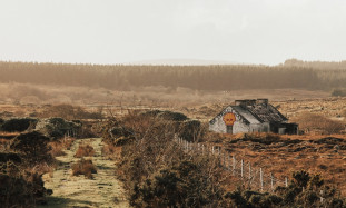 How to Manage Stress and Avoid Burnout at Work: 5 Effective Strategies