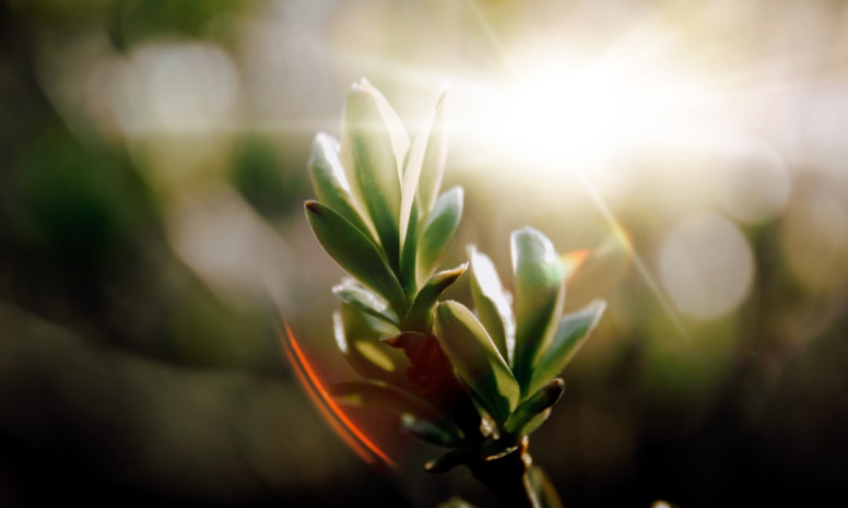 How to effectively use social networks to develop professional relationships