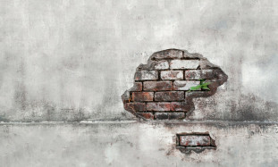 Top 5 emotional intelligence skills needed for a successful career in 2025: how to develop them in practice.