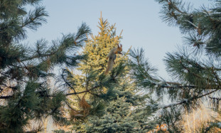 Flexible working hours as a key advantage for employees in the modern world of work