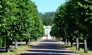 How to Overcome Fear of Public Speaking: Practical Tips and Strategies