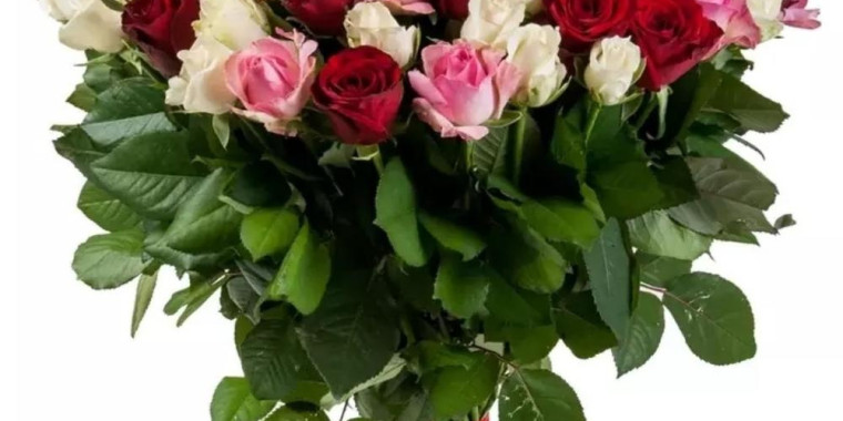 Service files Ziedu kompozīcijas un individuāli pušķi