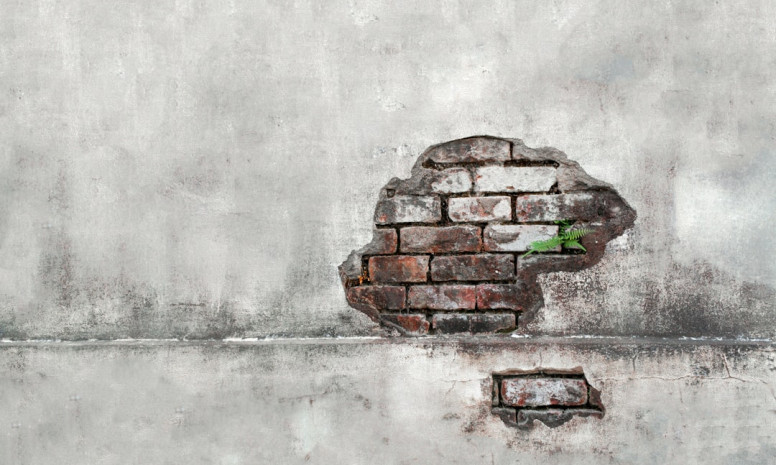 Top 5 emotional intelligence skills needed for a successful career in 2025: how to develop them in practice.