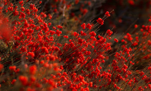 Flexible Working Hours: How It Can Increase Productivity and Employee Satisfaction